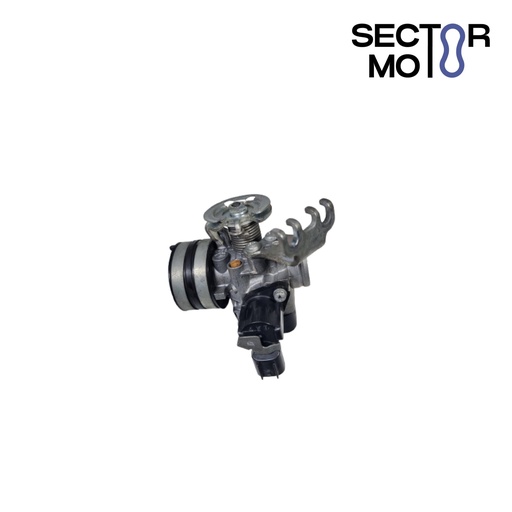 [RECH0000097] Cuerpo del acelerador