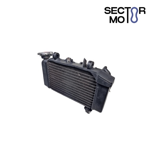 [RECH0000098] Radiador completo